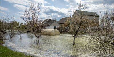 Подрыв дамбы, спасший Киев: в затопленном поселке Демидов десятки домов до сих пор стоят в воде — репортаж НВ