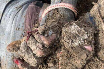 На Киевщине найдены два мужских тела со следами пыток