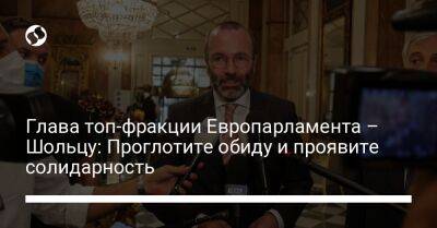 Глава топ-фракции Европарламента – Шольцу: Проглотите обиду и проявите солидарность