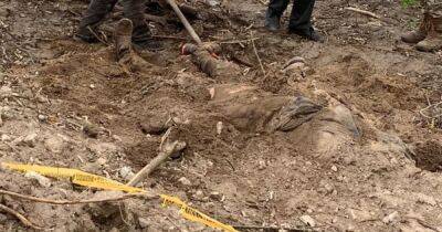 В Киевской области нашли еще два тела со связанными за спиной руками, — Подоляк (фото 18+)