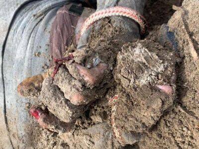 "Сорванные ногти, связанные руки". В Киевской области нашли еще одну братскую могилу