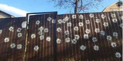Украинцы — несокрушимые. Жители Гостомеля нарисовали цветы на заборе вокруг следов от пуль