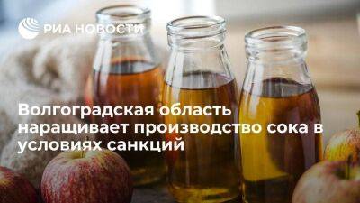 Волгоградская область намерена увеличить производство сока и яблок в условиях санкций