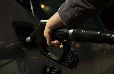 Специалисты нашли замену бензину в условиях энергетического кризиса
