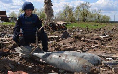 Мэри Акопян - ООН отправит в Украину миссию по разминированию - korrespondent.net - Россия - Украина