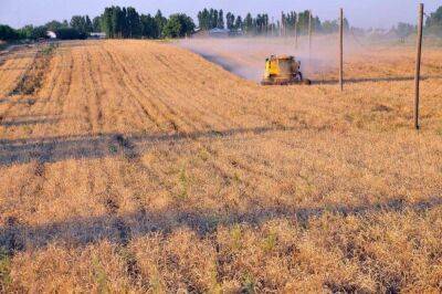 Урожая зерновых прошлого года Узбекистану хватит до августа. При этом уже в июне будет новый урожай. Минсельхоз о готовности страны к глобальному дефициту