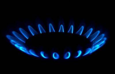 Сербия договорилась с Россией о поставках газа по цене в три раза ниже рыночной