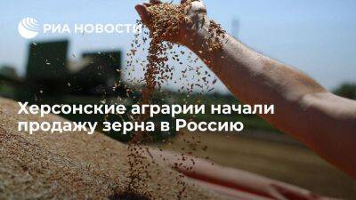 Замглавы ВГА Стремоусов заявил, что херсонские аграрии начали продажу зерна в Россию