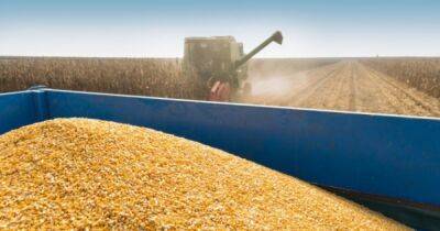 Оккупанты признали, что Россия вывозит зерно из Херсонской области
