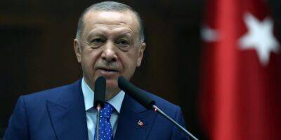 Переговоры Турции со Швецией и Финляндией касательно их членства в НАТО не прошли «на желаемом уровне» — Эрдоган