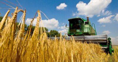 Урожай зерновых в Украине из-за агрессии России в 2022 году упадет на 30-40%