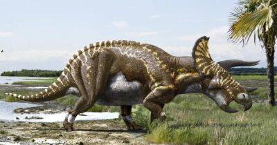 Теплокровные или холоднокровные: ученые выяснили, какими на самом деле были динозавры