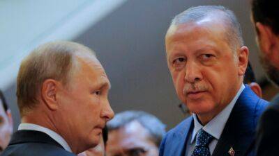 Эрдоган предложил Путину провести переговоры России, Украины и ООН