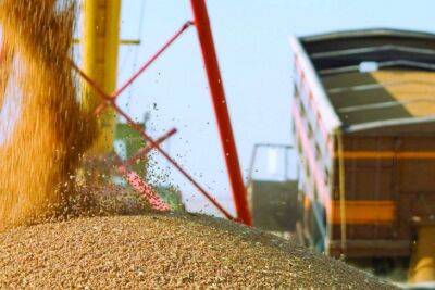 Росія вже вкрала в Україні пів мільйона тонн зерна, яке намагалася продати в Єгипті та Лівані