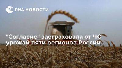 "Согласие" застраховала от ЧС урожай пяти регионов России более чем на миллиард рублей