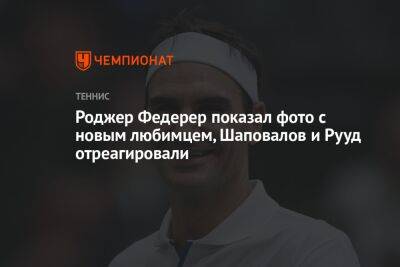 Роджер Федерер показал фото с новым любимцем, Шаповалов и Рууд отреагировали