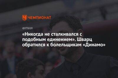 «Никогда не сталкивался с подобным единением». Шварц обратился к болельщикам «Динамо»