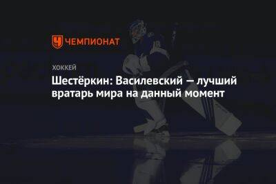 Шестёркин: Василевский — лучший вратарь мира на данный момент