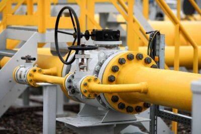 Данія і Нідерланди відмовляються від оплати за російський газ у рублях