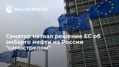 Сенатор Абрамов назвал решение об эмбарго нефти из России "самострелом" для экономики ЕС