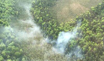 В Уватском районе ликвидировали лесной пожар на площади 19 га