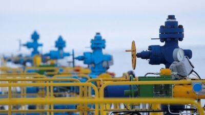 Россия остановила поставки газа в Нидерланды из-за отказа платить в рублях