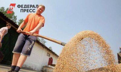 Выгодно ли России продавать зерно за рубли: ответ экспертов