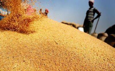 Украина в мае экспортировала более миллиона тонн зерна