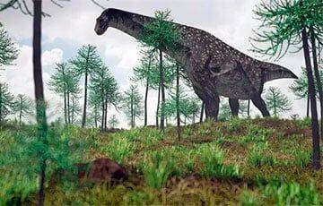 Ученые назвали пять самых больших динозавров, когда-либо существовавших на Земле