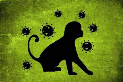 Оспа обезьян: специалисты рассказали, как можно сдержать вспышку