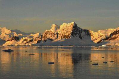 Ученые обнаружили в Антарктиде бактерии со сверхспособностями