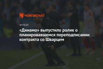 «Динамо» выпустило ролик о планировавшемся переподписании контракта со Шварцем