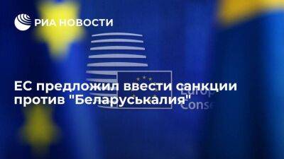 Блумберг: ЕС предложил ввести санкции против "Беларуськалия" и завода "Нафтан"