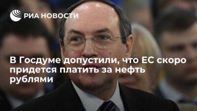 Депутат Никонов: ЕС долго не сможет отказаться от российской нефти и будет платить рублями