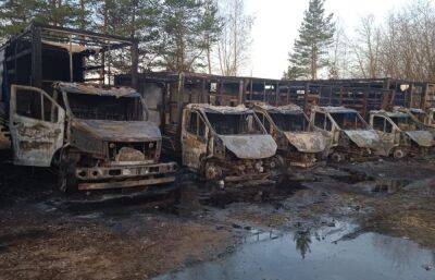 Уголовное дело возбуждено по факту пожара, уничтожившего десятки грузовиков на парковке в Твери