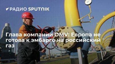 Глава компании OMV: страны Европы не готовы к эмбарго на поставки газа из России