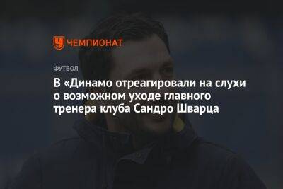 В «Динамо отреагировали на слухи о возможном уходе главного тренера клуба Сандро Шварца