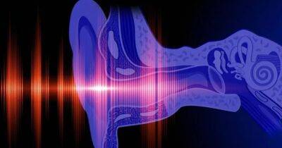 Ученые обнаружили ген, который помогает восстановить утерянный слух