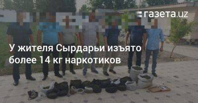 У жителя Сырдарьи изъято более 14 кг наркотиков - gazeta.uz - Узбекистан - Сырдарьинская обл.