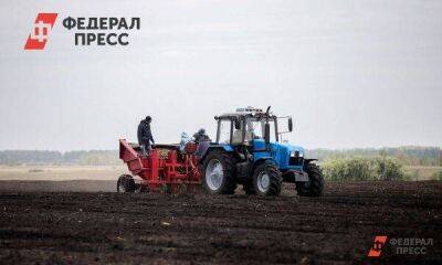 Калининградский завод выделил сотрудникам землю для огородов