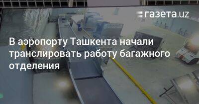 В аэропорту Ташкента начали транслировать работу багажного отделения