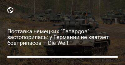 Поставка немецких "Гепардов" застопорилась: у Германии не хватает боеприпасов – Die Welt