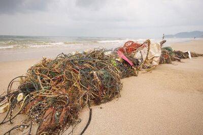 Немецкие дайверы обнаружили в Северном море 50 кг заброшенных сетей