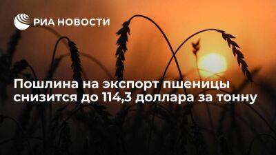 Минсельхоз: пошлина на экспорт российской пшеницы снизится до $114,3 доллара за тонну