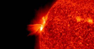 Предугадать магнитные бури: ученые раскрыли многолетнюю тайну вспышек на Солнце