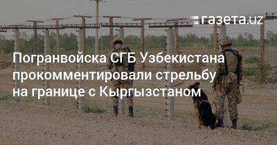 Погранвойска СГБ Узбекистана прокомментировали стрельбу на границе с Кыргызстаном
