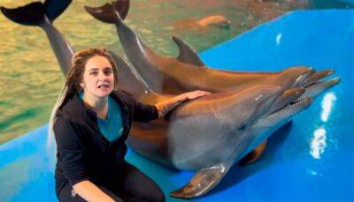 Песню «Червона калина» исполнили дельфины из одесского дельфинария «Немо» | Новости Одессы
