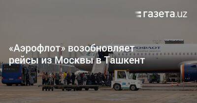 «Аэрофлот» возобновляет рейсы из Москвы в Ташкент
