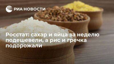 Росстат: сахар и яйца за неделю подешевели, а рис, гречка и подсолнечное масло подорожали