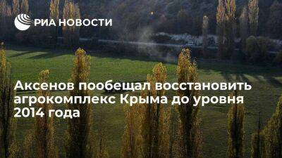 Аксенов: агрокомплекс Крыма после снятия водной блокады восстановится до уровня 2014 года